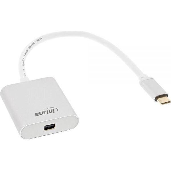 Adapter USB InLine USB-C - DisplayPort Mini Biały  (64105S)