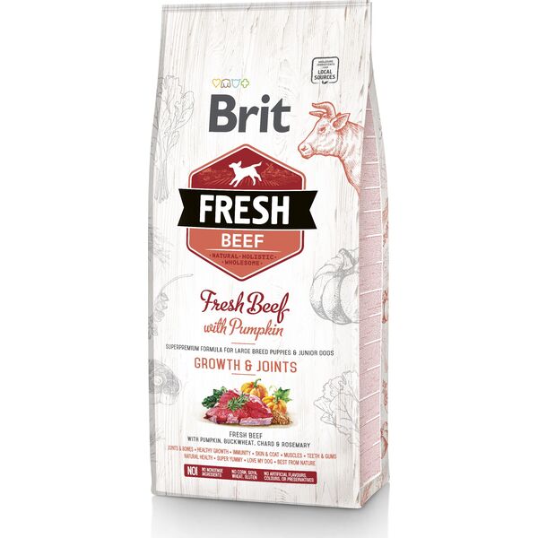 Brit Fresh Beef With Pumpkin Puppy Large 2.5kg