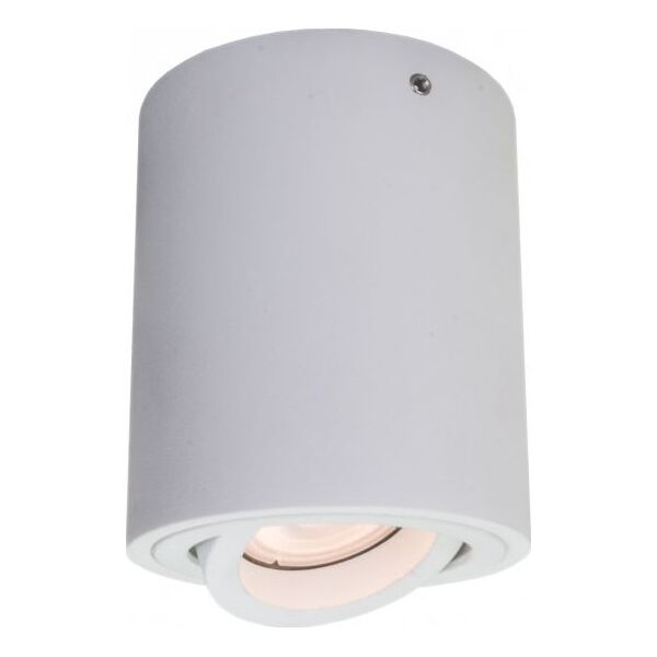 Lampa sufitowa Italux Lucia 1x40W  (T8004R1-WH)