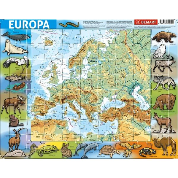 Demart Puzzle ramkowe - Europa fizyczna