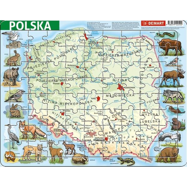 Demart Puzzle ramkowe - Polska fizyczna