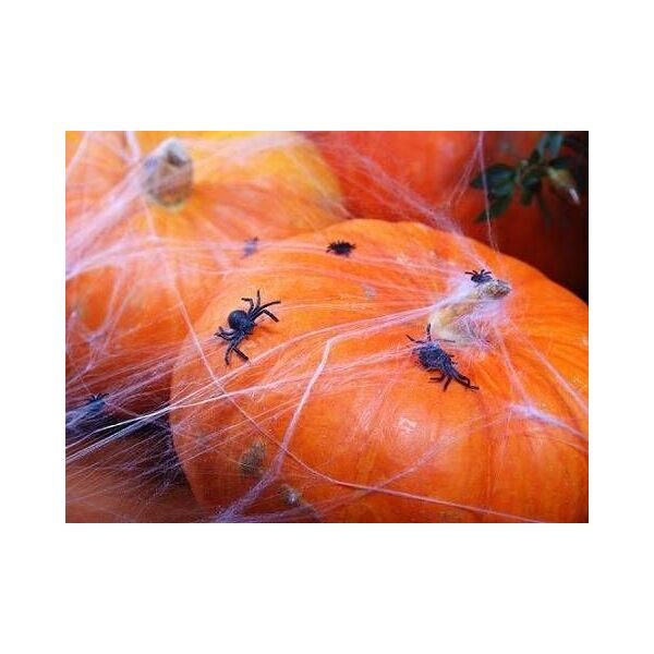 Party Deco Pająki plastikowe czarne na Halloween - 10 szt. uniwersalny