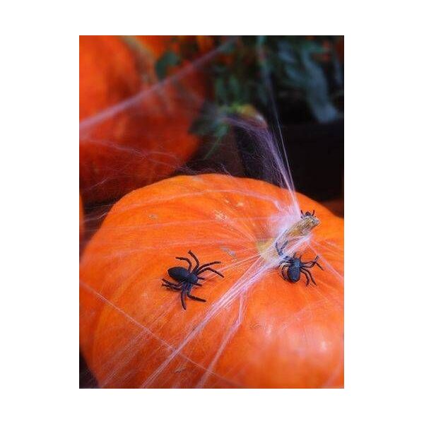 Party Deco Pająki plastikowe czarne na Halloween - 10 szt. uniwersalny