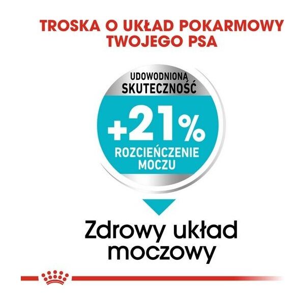 Royal Canin Royal Canin Mini Urinary Care karma sucha dla psów dorosłych ras małych do 10 kg z wrażliwym układem moczowym 3kg