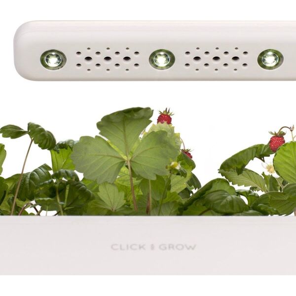 Click And Grow Click&Grow Inteligentna doniczka Smart Garden 3 Mellow Beige