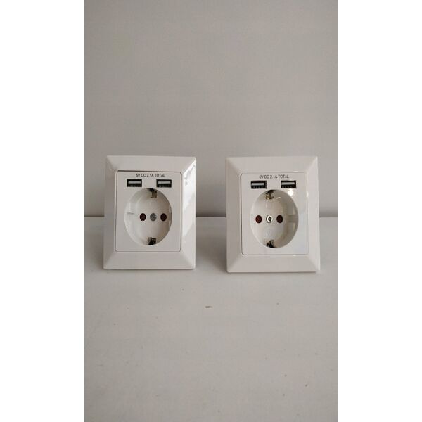Digitus Assmann SOCKET WITH 2X USB PORTS/SAFETY WALL OUTLET 5V2.1A WHITE