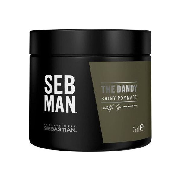 Sebastian Professional Plaukų pomada vyrams Sebastian Professional SEB MAN The Dandy Shiny 75 ml