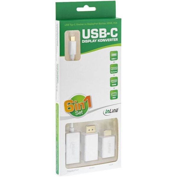 Adapter USB InLine USB-C - DisplayPort Biały  (64109S)