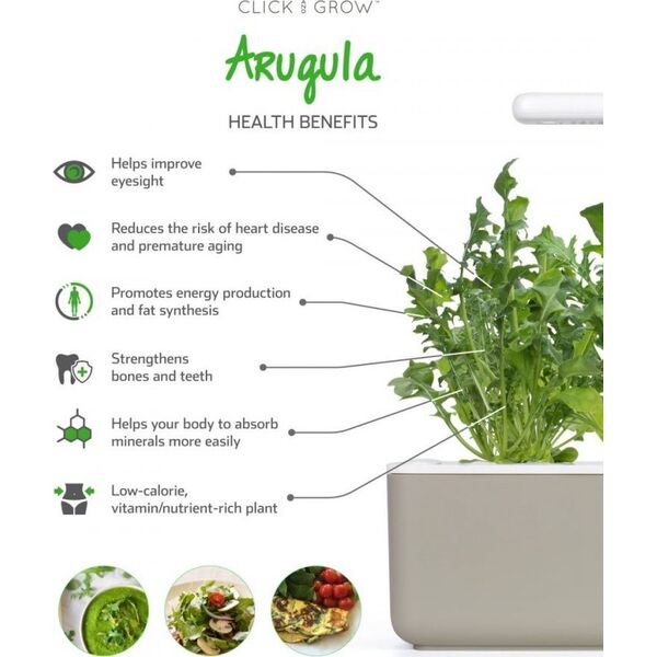 Click And Grow Refill rukola 3-pak