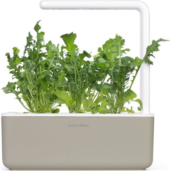 Click And Grow Refill rukola 3-pak