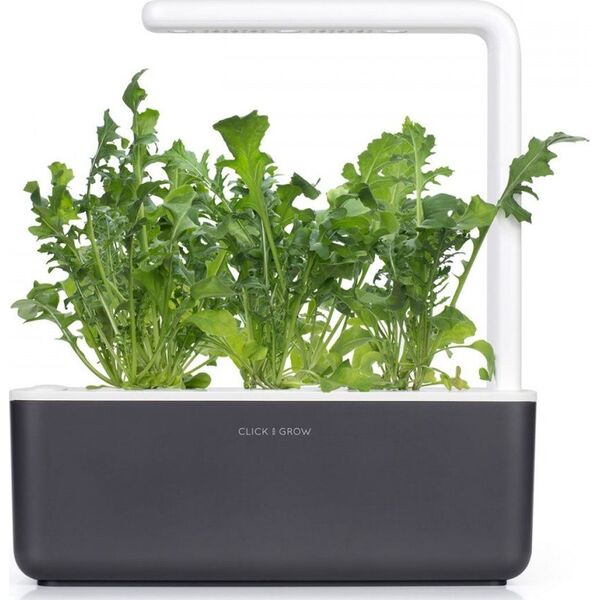 Click And Grow Refill rukola 3-pak