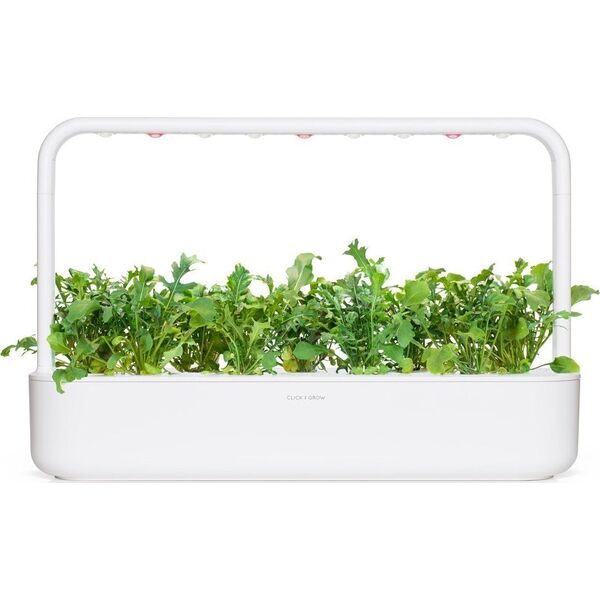 Click And Grow Refill rukola 3-pak