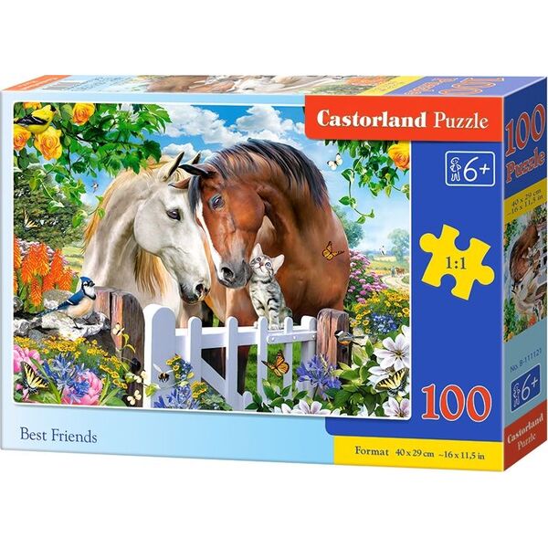 Castorland Puzzle 100 Best Friends