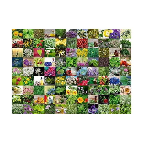 Ravensburger Puzzle 1000 elementów 99 Ziół