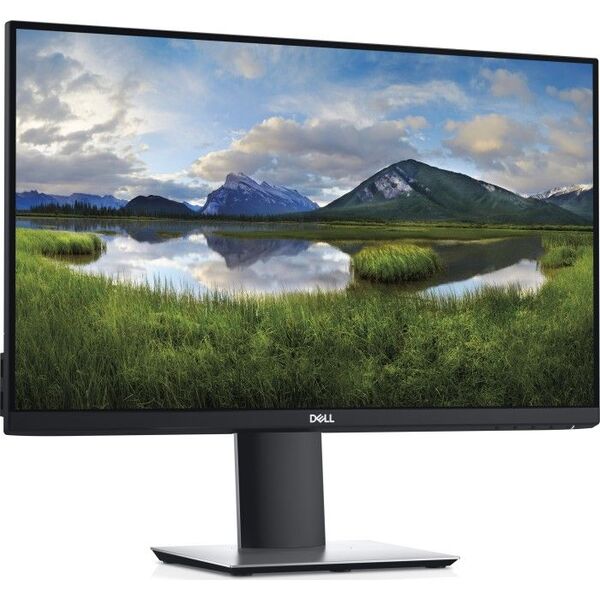 Monitor Dell P2421 (210-AWLE)