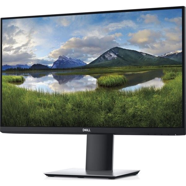 Monitor Dell P2421 (210-AWLE)