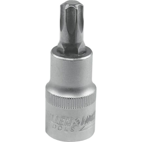 Dedra Klucz trzpieniowy Torx 1/2"" T20, L55mm