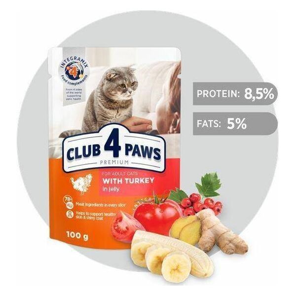 Club 4 Paws CLUB4Ł KOT 100 g SASZ. INDYK W GALARETCE