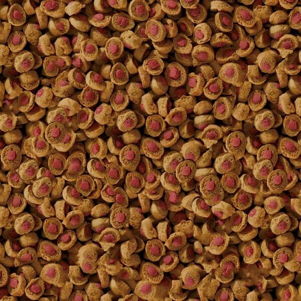 Sera Koi Professional Spring/Autumn Food 1.000 g - pokarm specjalny
