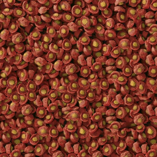 Sera Koi Professional Spring/Autumn Food 1.000 g - pokarm specjalny