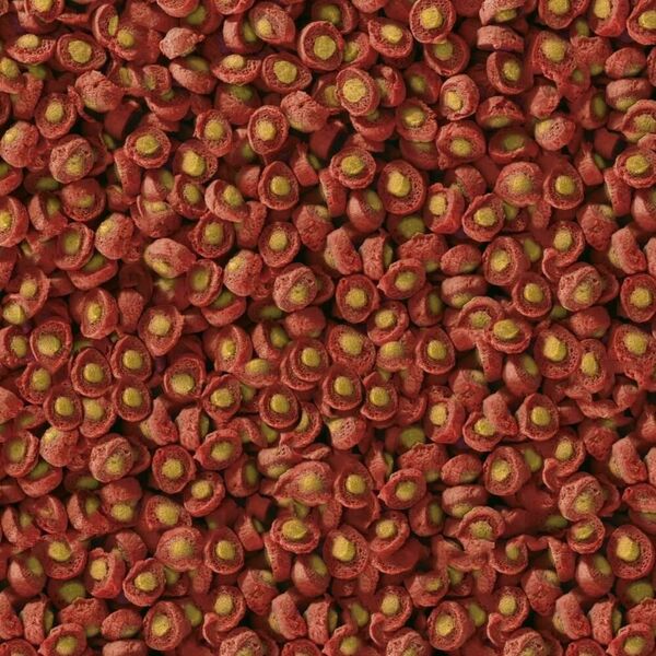 Sera Koi Professional Spring/Autumn Food 1.000 g - pokarm specjalny
