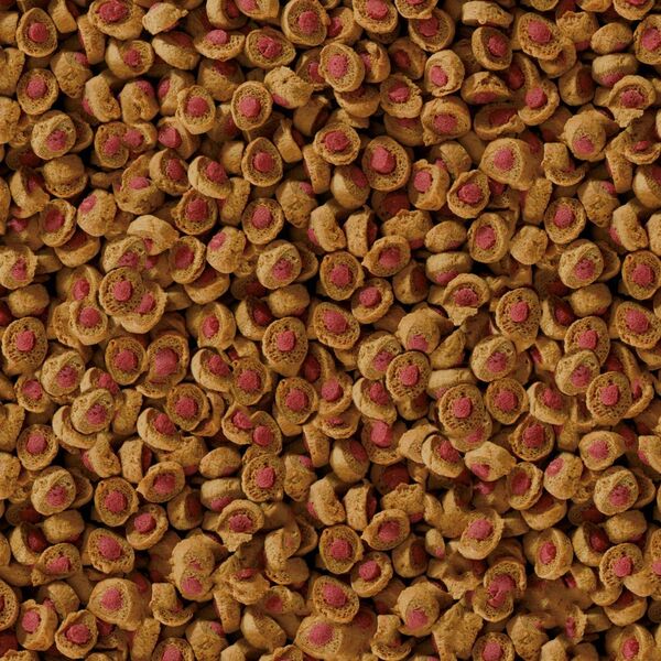 Sera Koi Professional Summer Food 500 g- pokarm specjalny