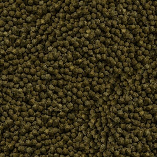 Sera Koi Color Large 3.800 ml, granulat - pokarm postawowy dla Koi