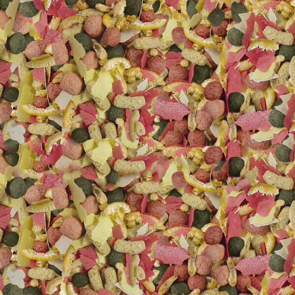 Sera Pond Mix Royal 3.800 ml, mieszanka -pokarm dla ryb stawowych