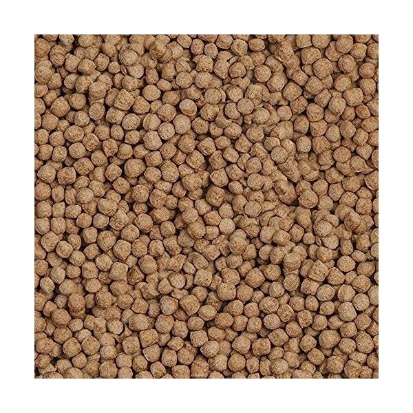 Sera Koi Royal Large 21 l, granulat - pokarm postawowy dla Koi