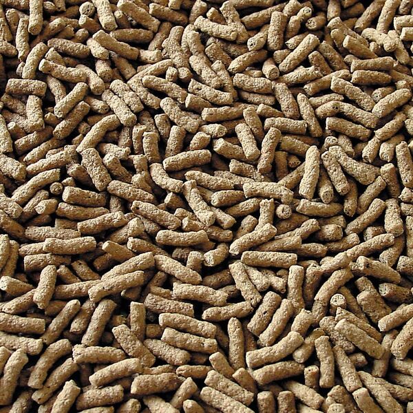 Sera Pond Granulat 3.800 ml - pokarm dla ryb stawowych