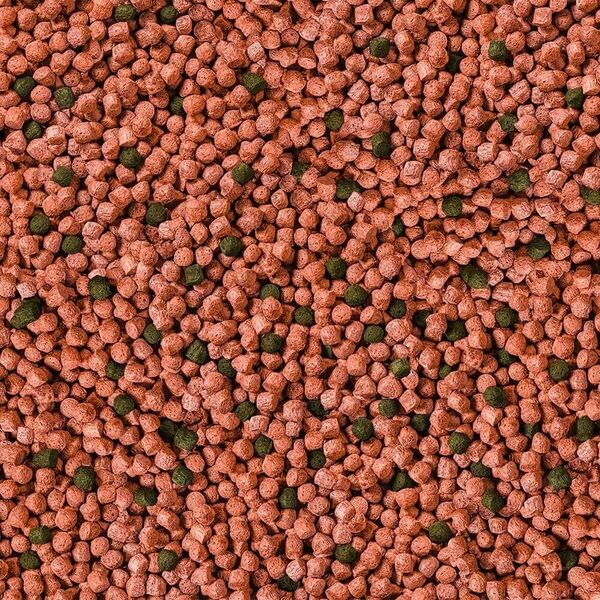Sera Koi Junior All Seasons Probiotic 5 kg - pokarm specjalny