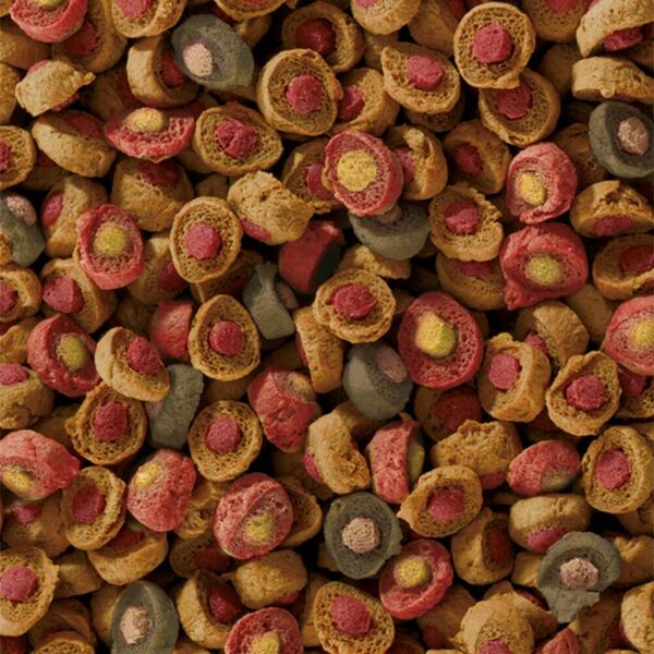 Sera Koi All Seasons Probiotic 7 kg - pokarm specjalny