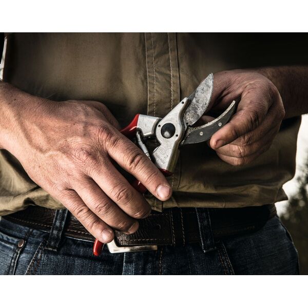 Sekator Felco 2 Classic nożycowy