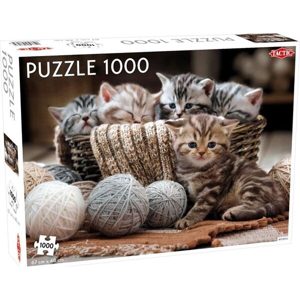 Tactic Puzzle 1000 Małe kotki