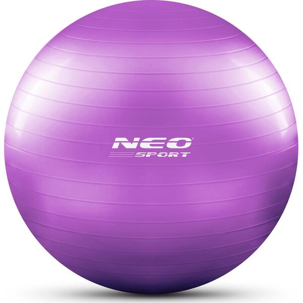 Neo-Sport Piłka do ćwiczeń 65 cm NS-951 fioletowa