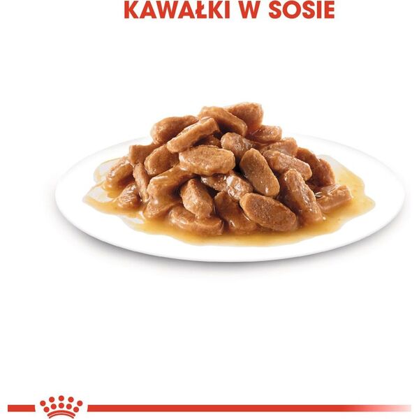 Royal Canin Karma SHN Medium Puppy w sosie 10x140g