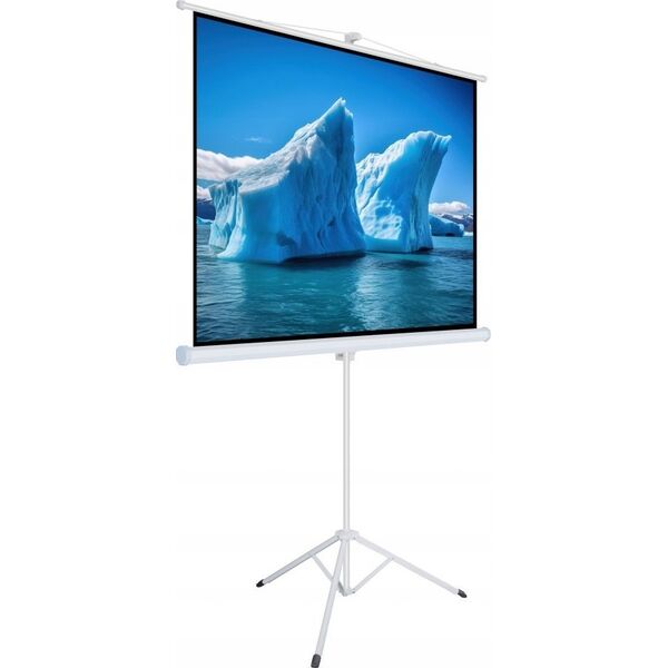 Ekran do projektora Art ART HAND-HAND SCREEN ON A TRIPOD 110inch 244x137cm TA-110 16:9