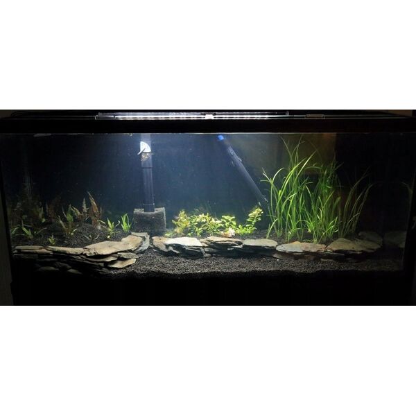 Sera Sól marin reef salt 20 kg