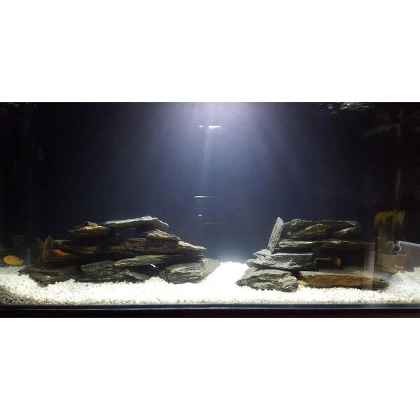 Sera Sól marin reef salt 20 kg