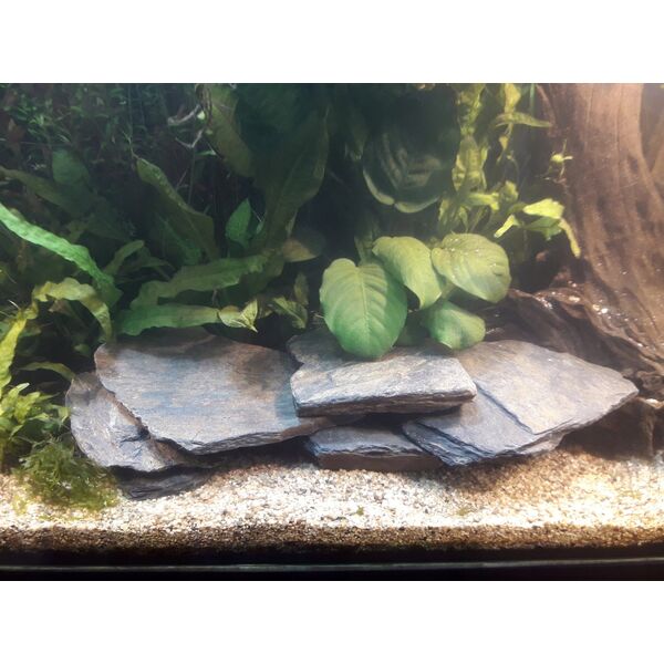 Sera Sól marin reef salt 20 kg