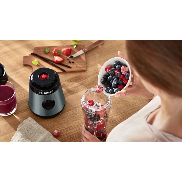 Blender kielichowy Bosch VitaPower MMB2111S