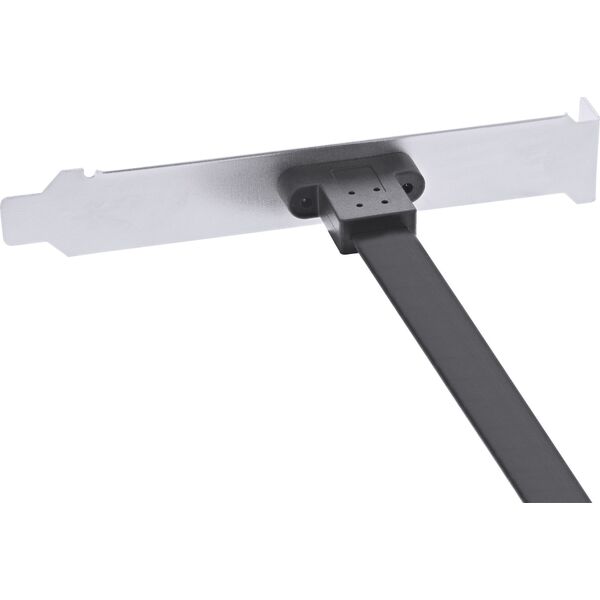 InLine InLine Slotblende USB Typ-C zu USB 3.1 Frontpanel Key-A intern, 0,3 m