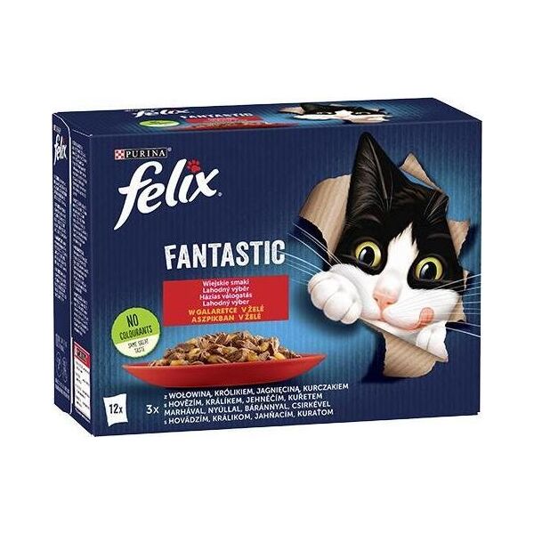 Nestle FANTASTIC WIEJSKIE SMAKI w galaretce saszetki 12x85g