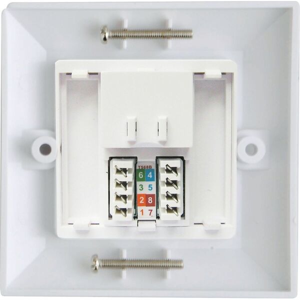 Lanview CAT6 Faceplate Single Gang UK