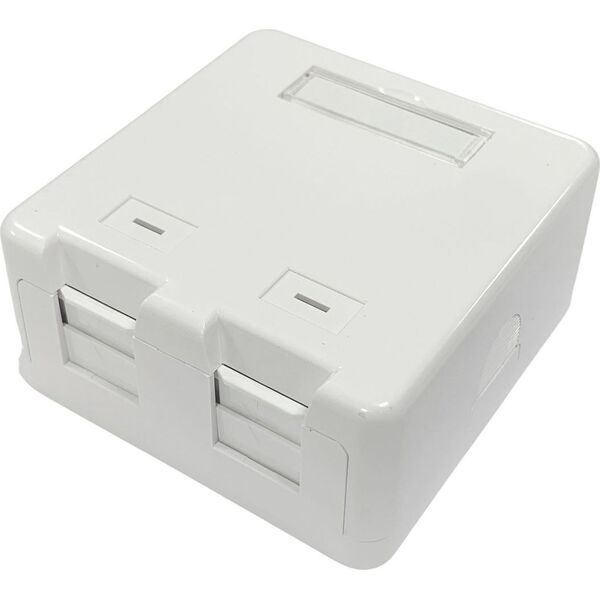 Lanview Surface mount box for 2 x