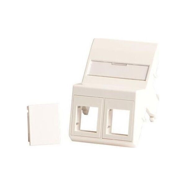 Lanview Wall plate, angled, 2 x
