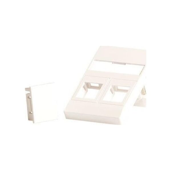 Lanview Wall plate for 2 x keystone.