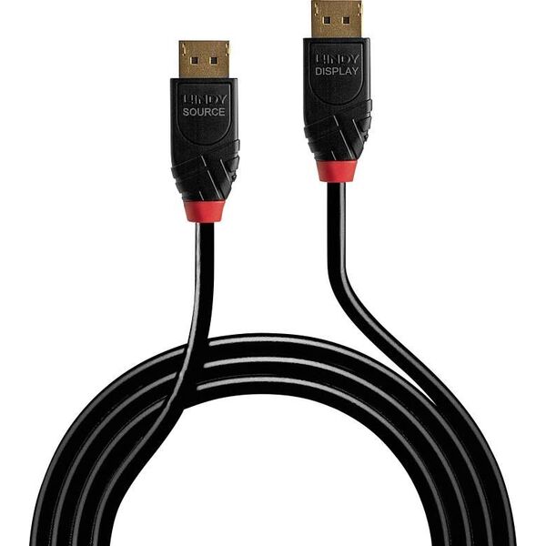 Kabel Lindy DisplayPort - DisplayPort 5.1m czarny (41167)