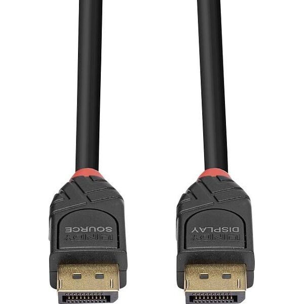Kabel Lindy DisplayPort - DisplayPort 10m czarny (41169)