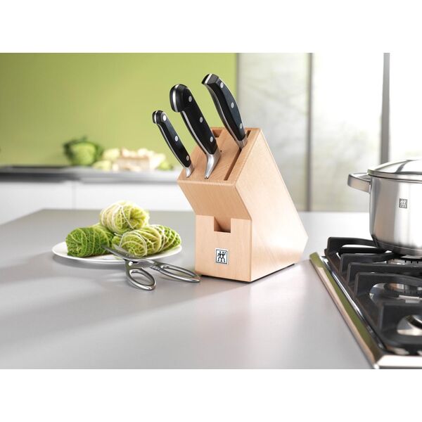 Zwilling Zestaw 4 noży w drewnianym bloku Zwilling Professional S